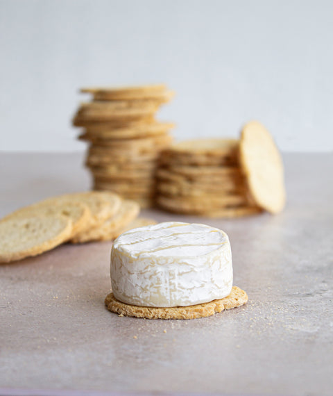 Imagen de Van der meulen